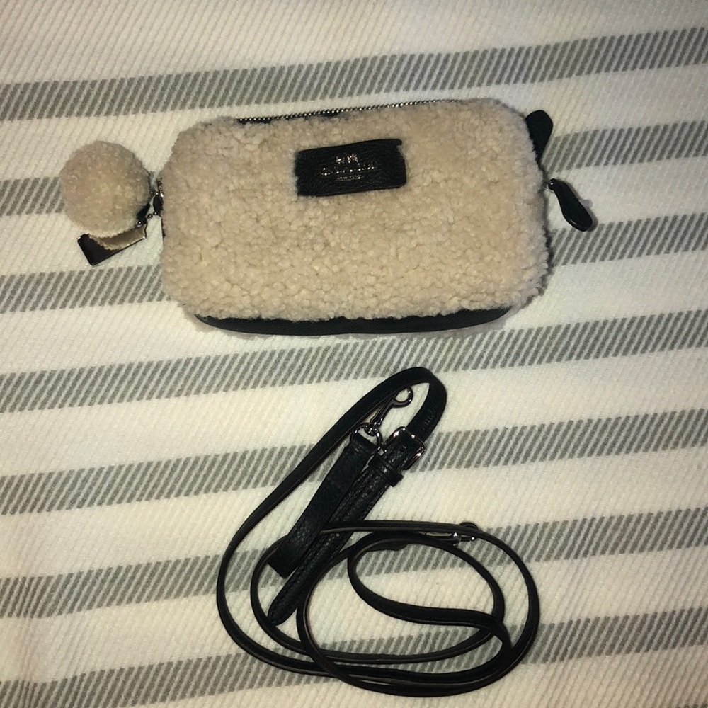 Coach Mini Satchel!